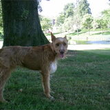 Sem in het park.