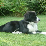 Foto van silke & woody