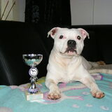 Foto van wendy