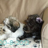 ZOOOOO leuk :-)))))