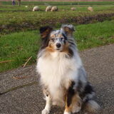 Foto van Lizzie en Sterre