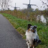 Foto van Lizzie en Sterre