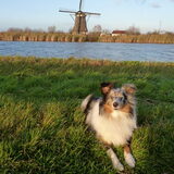 Foto van Lizzie en Sterre