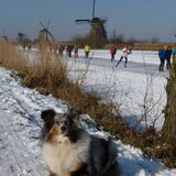 Foto van Lizzie en Sterre