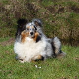Foto van Lizzie en Sterre