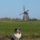Foto van Lizzie en Sterre