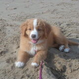 voor het eerst op het strand