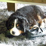 Foto van Rianne