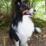 Bobbie - juni 2008 - Zeeland bij Sander