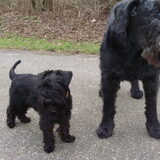 April samen met Floh..