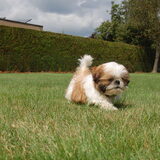 Foto van Emely, Bently's baasje