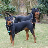 JayDee en Georg