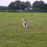 Noxx in actie.