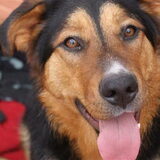 Ons trouwe mie, super beestje!
