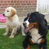 Foto van Elien & Jerome & Lasco