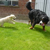 Foto van Elien & Jerome & Lasco