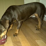 Camila Slaappapje (cottage cheese, rauwe notenmix, fruitmix en honing)