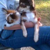 Foto van Toby <3