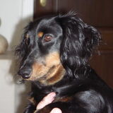 onze schat