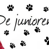Zelf gemaakt voor de club "Junioren" als header :)