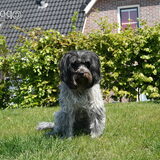 babs> Het model!!! Trots poseren in de tuin.