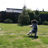 .. Hebbes!!!!... Goed he???