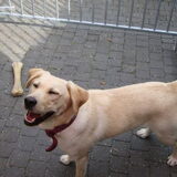 10 maanden