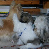 Thats where friends are for.