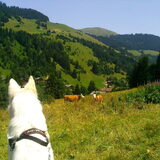In Zwitserland in de zomer :-D