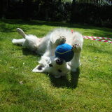 love my ball