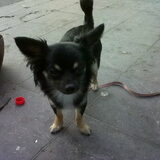 Zoey