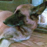 Milla