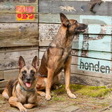 Foto van De Mecheltjes clan