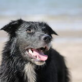 Miss Beach!