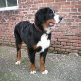 hmm ik hoor wat?