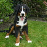 Jerome 5 maanden oud