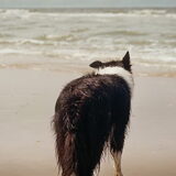 Lekker in IJmuiden aan het strand..