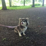 Foto van Sylvia Groot