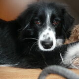 Foto van silke & woody