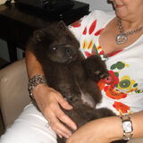 zo klein nog de kleine spruit ,is zo graag in mama's armen,