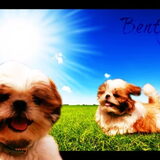 Foto van Emely, Bently's baasje