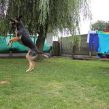 Jump