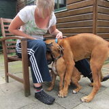 Puppy op bezoek!