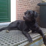 Fotomodel Max