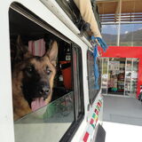 Foto van Roos en Max