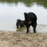 max 7,5 maand dee 1 jaar
