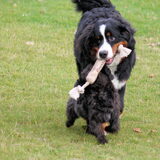 samen spelen