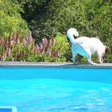 Waar is m'n bal???