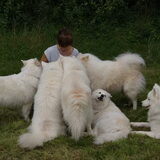 Lieve sammies