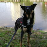 Foto van jacqueline en baco